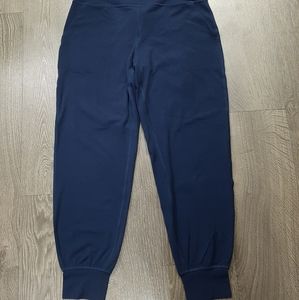 Lululemon Align Jogger 28 (Women's Size 12)
